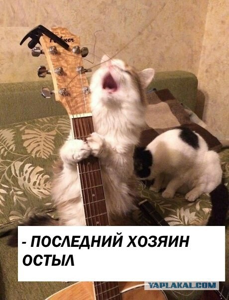 Оооо, моя оборона!