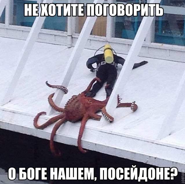 Подборка интересных и веселых картинок