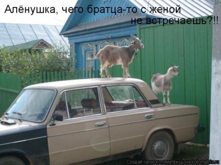 Смешные комментарии из социальных сетей 17.11.2017
