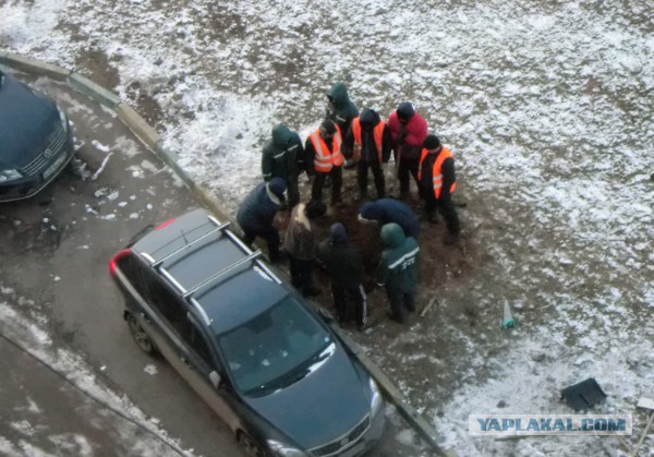 Неожиданные находки после шторма!