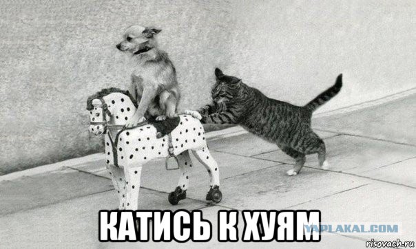 Макаревич посмеялся над «поднявшейся волной говна» из-за злобных дебилов
