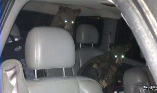 Кто сидел на моем кресле и помял его?!