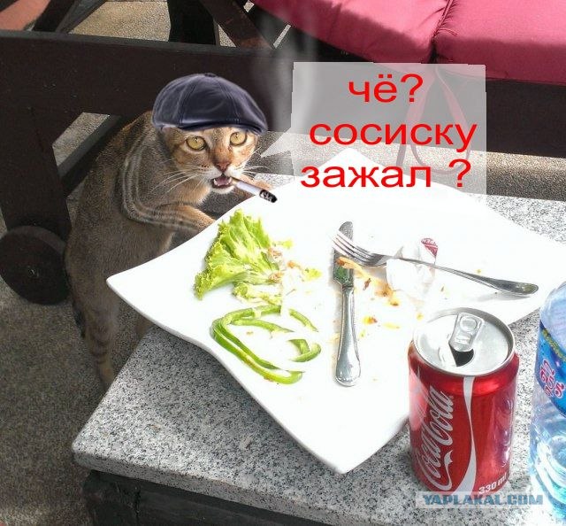 - Хозяин, сука, ты же обещал оставить...