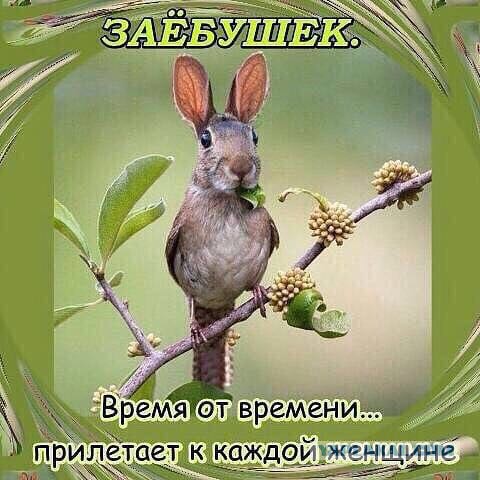Вдуватели будут ?