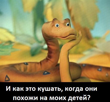 Пикантный салат из кабачков.