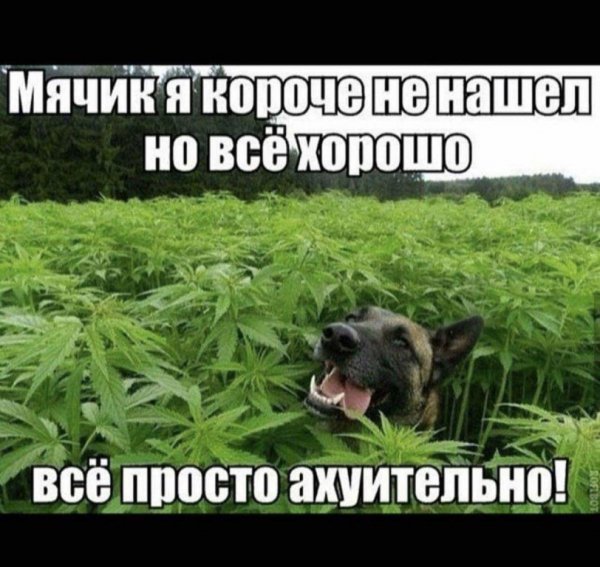 Картинки разные атавсюду. Часть 2