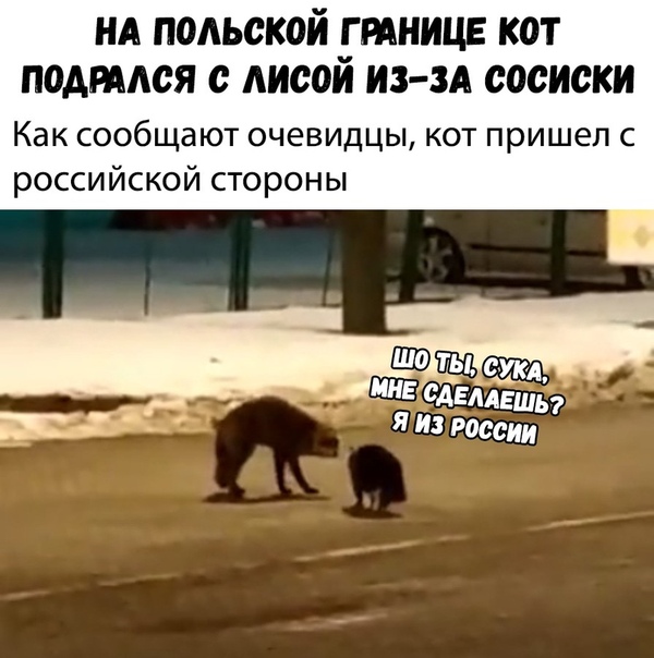 Разные и без темы