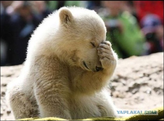 Приключения в теплой спальне