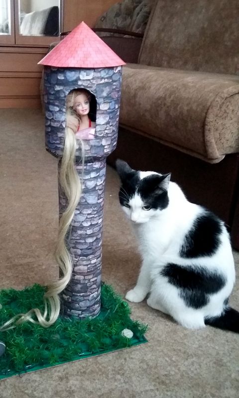 ЯП в кошках