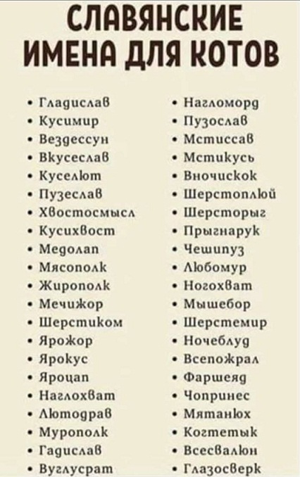 Посмотри, какой у меня новый хозяин