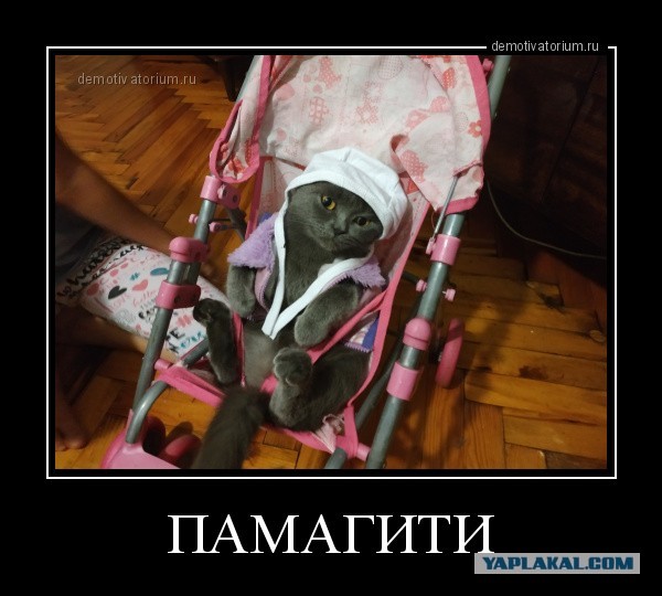 О годности к Семье