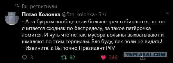 Путин: Мы что, хотим, чтобы у нас на улицах жгли машины?