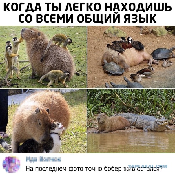 Немного картинок для настроения 18.07.20