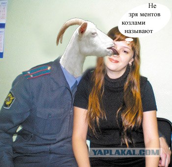 Коза с языком: А вот вам!