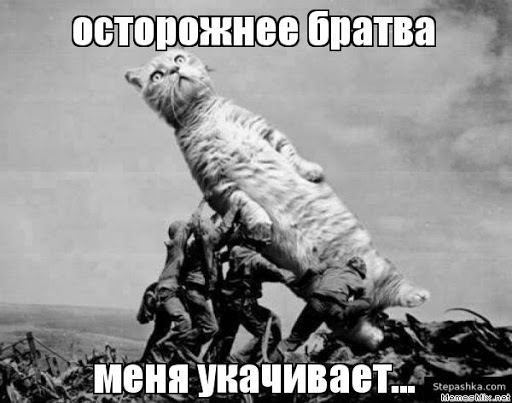 Транспортная полиция Амура в деле