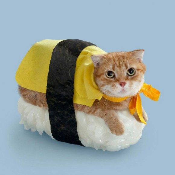 Подборка душевных фотографий, которые восполнят нехватку добра