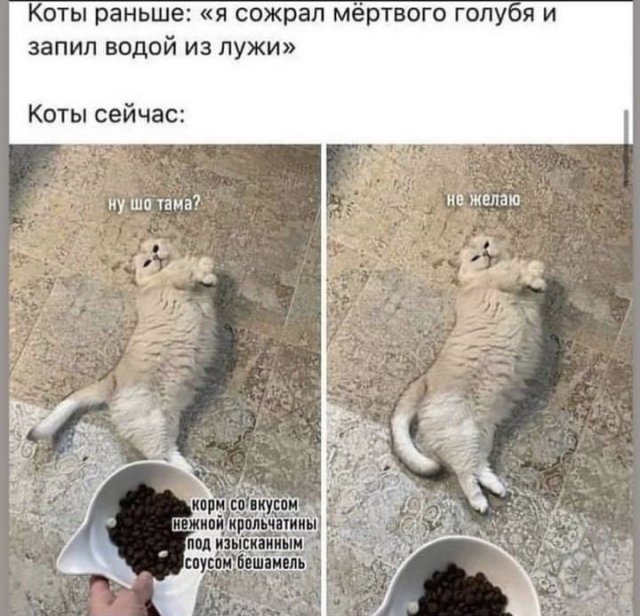 Чем порадует тырнет в субботу?