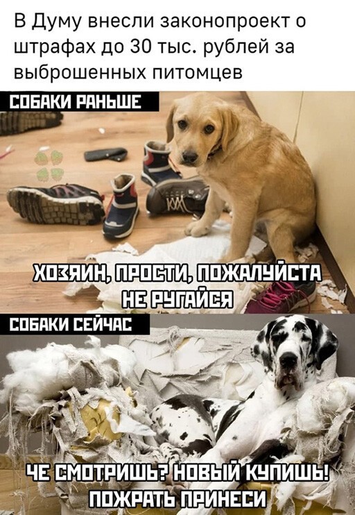 Алкопост 16.07.21