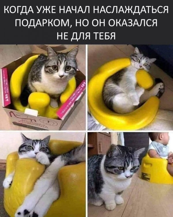 Картинки и мемы для настроения 09.08.2021
