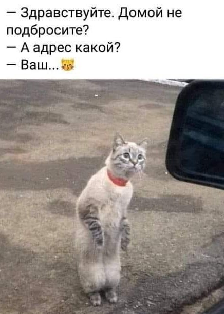 Меня взяли