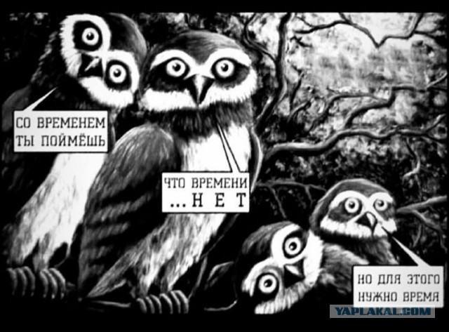 Бэушный джипег