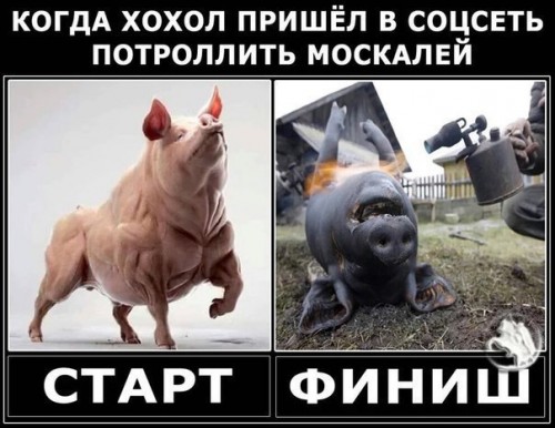 Первые кадры из документального фильма Стивена Сигала