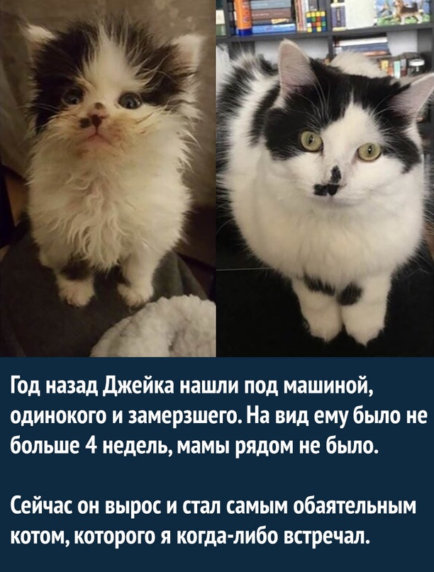 Немного картинок для настроения - 105
