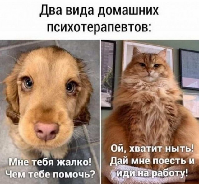Картинки и мемы для настроения - 133
