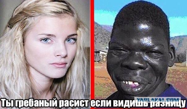 Победная поступь идиотизма по планете – том 3