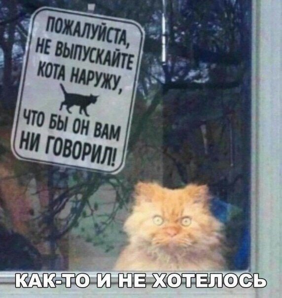 Прикольные и просто красивые картинки 17.01.2023
