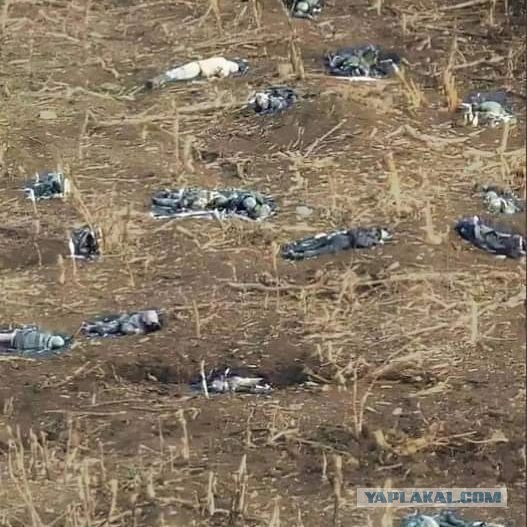 Под Бахмутом зажмурили шестерых грузин, воевавших за ВСУ