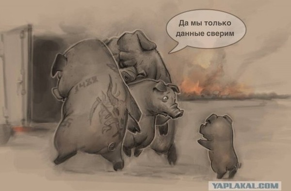 Потрясающая работоспособность украинских женщин впечатлила полицию скандинавских стран