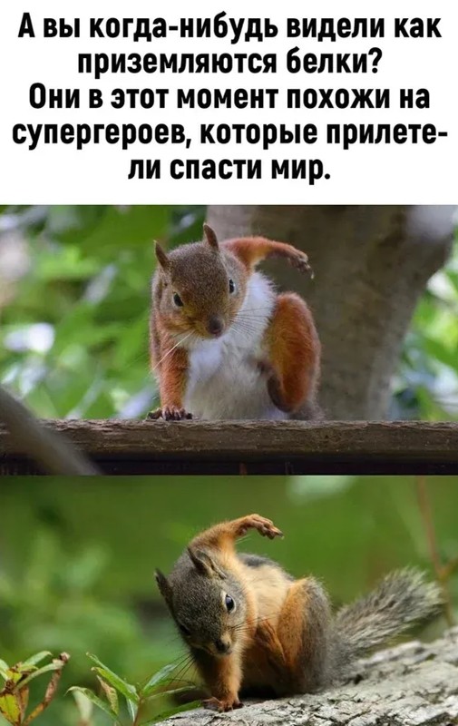 Немного картинок для настроения 07.03.2023