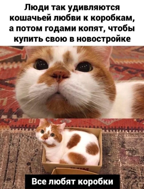 Так себе картинки 21.05.23