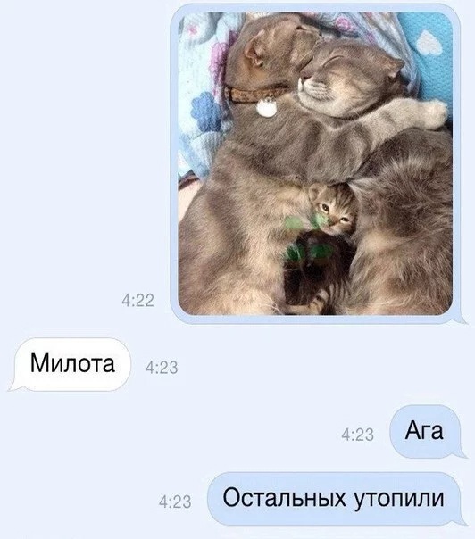 Так себе картинки 09.08.23