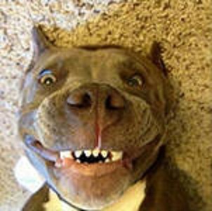 Людские анонимные откровения