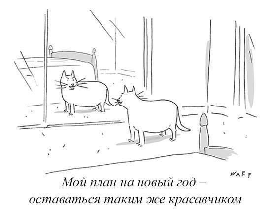 Бояны 5-ти летней выдержки