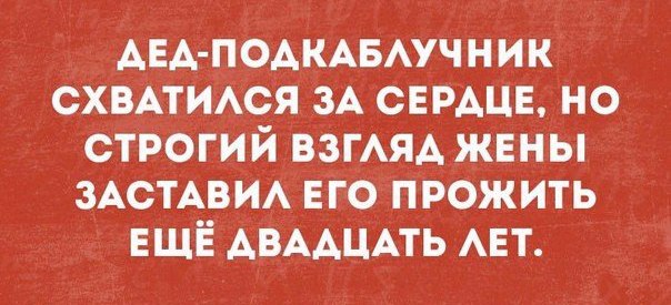 Нуштош 29.12.2023
