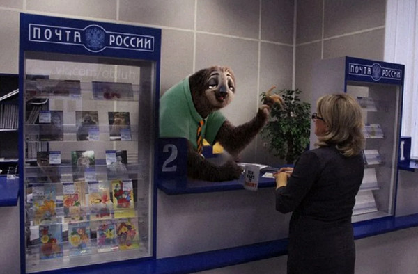 В клетки человека ввели белки тихоходок — и это сильно замедлило жизненные процессы