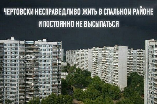 Меня твой шеф прислал