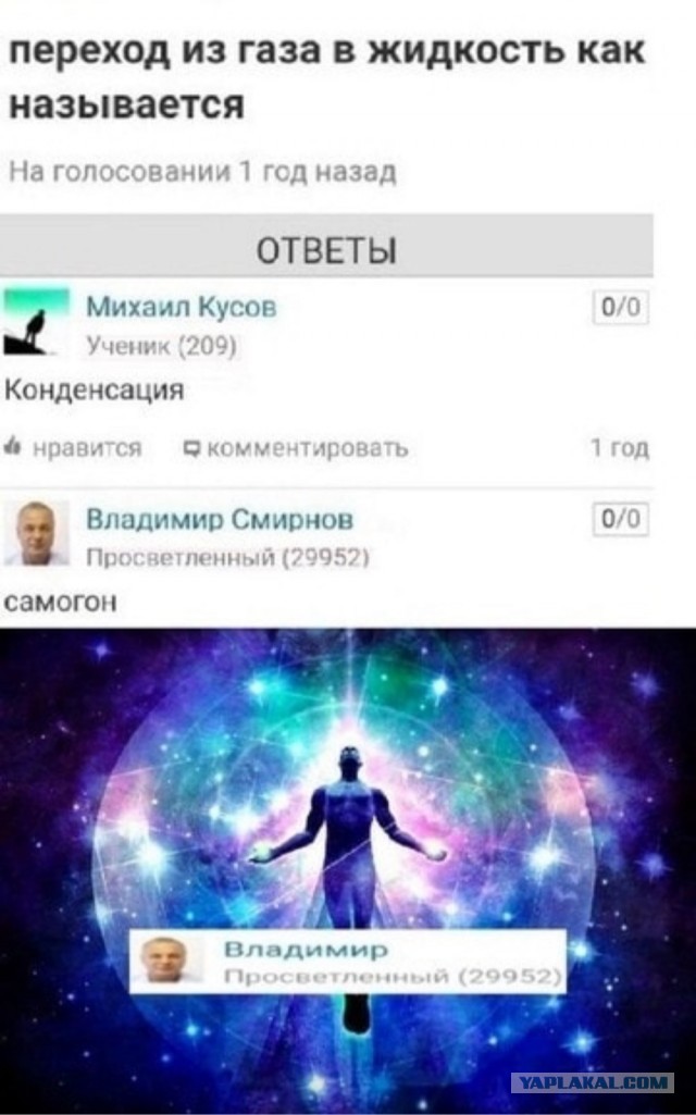 Так себе картинки 26.11.24