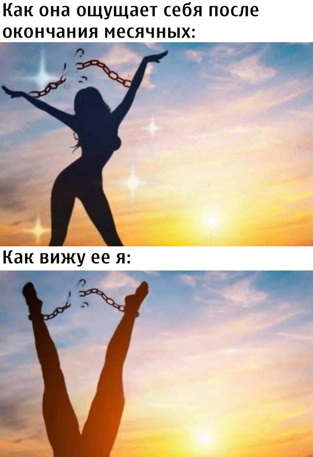 Весёлый полтишок 24.04.25
