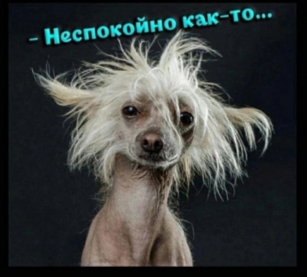 Индия атаковала Пакистан: нанесены ракетные удары в Бахвалпуре, Котли и Музаффарабаде, - Clash Report