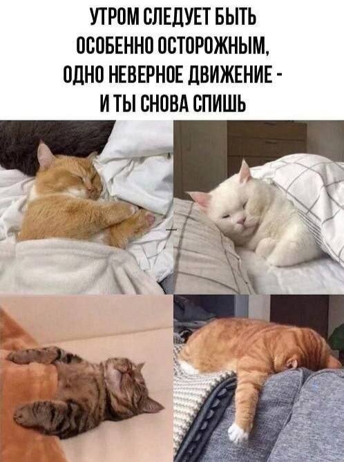 Подборка мемчиков за пол дня