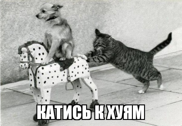 Это очень подозрительный друг