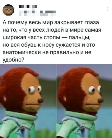 Весёлый полтишок 11.12.25