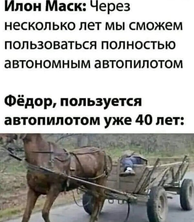 20708425.jpg