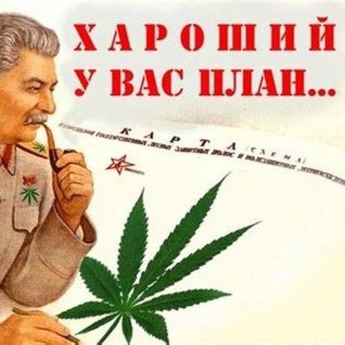 Расжижение мозга на ароматной поляне ополаскивателей для рта