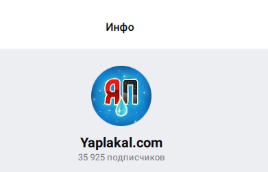Только 17% россиян готовы перейти в MAX