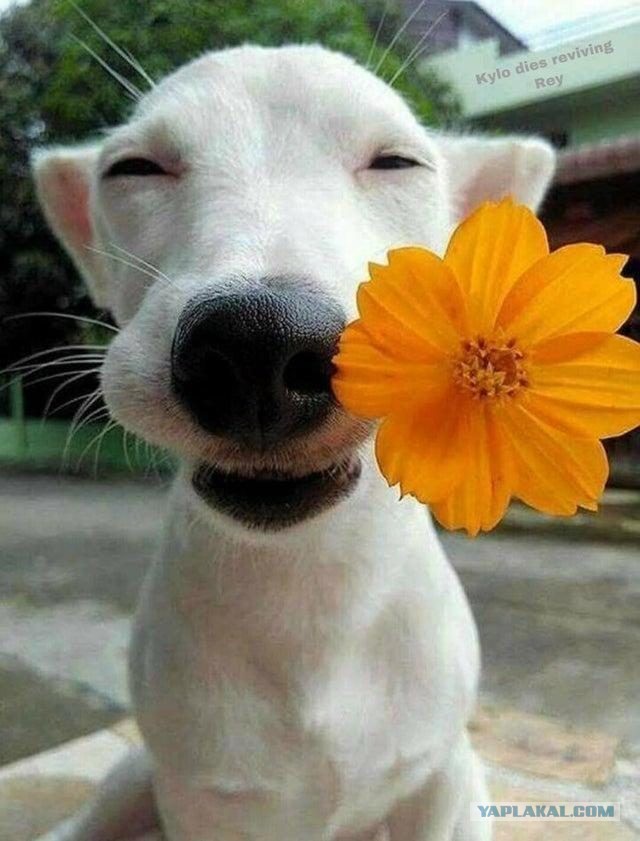 Никто не поздравляет